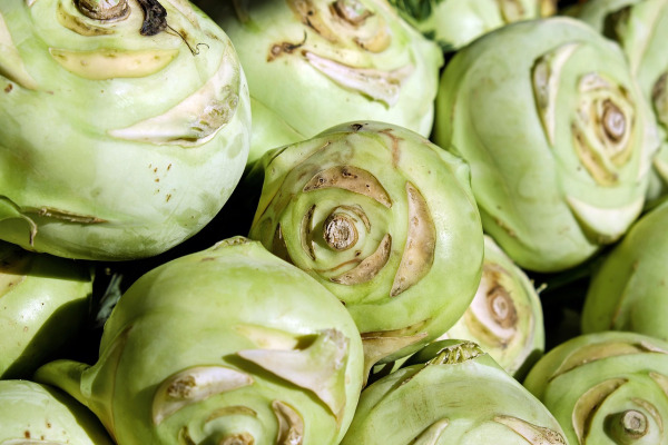 romanian sarmale cabbage rolls traditional